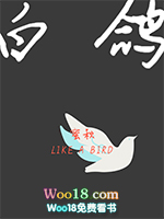白鴿小說封面