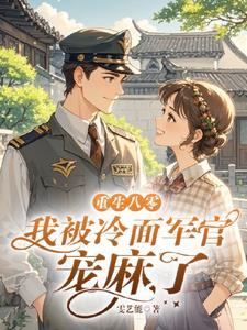 二婚军长