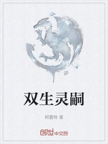 双生灵解析