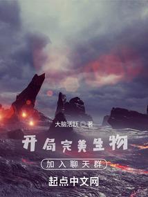 开局完美身份