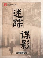 迷踪谍影 百度
