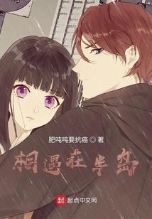 相遇的岛