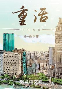重活1980风云时代 英雄无语