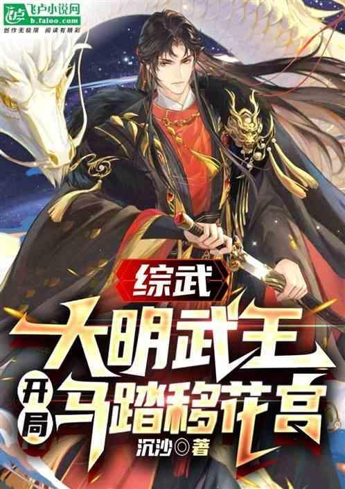 穿越综武大明战神