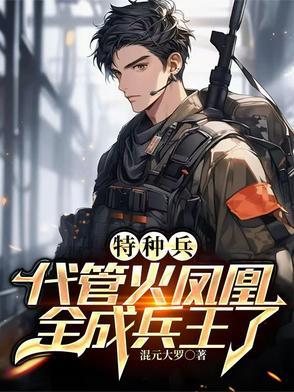特种兵之叶寸心系列