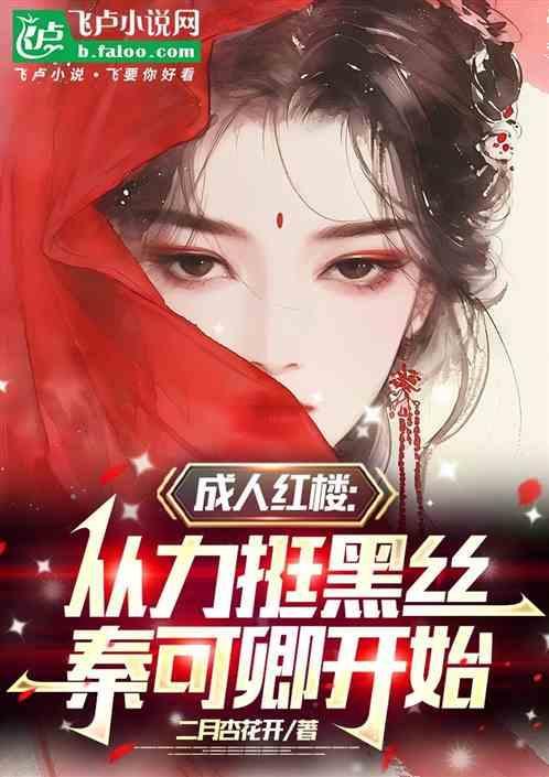 成人红楼：从力挺黑丝秦可卿开始