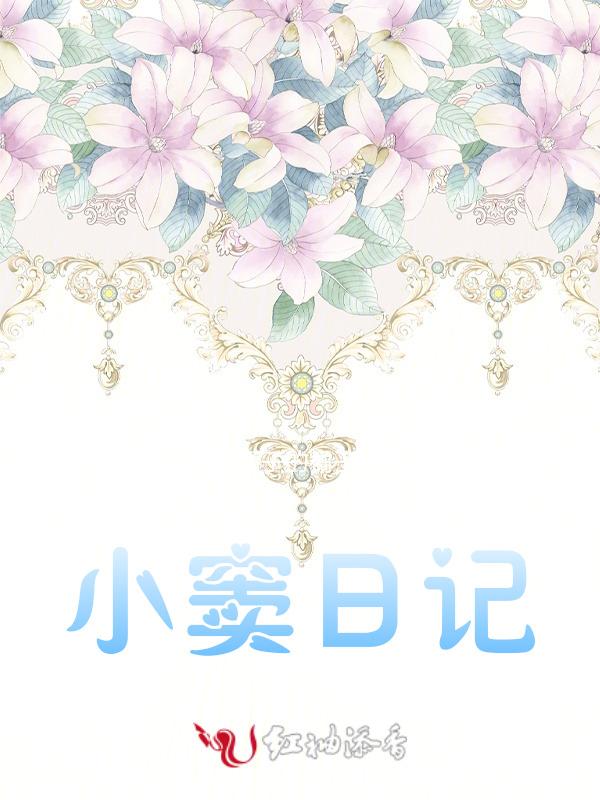 小窦日记