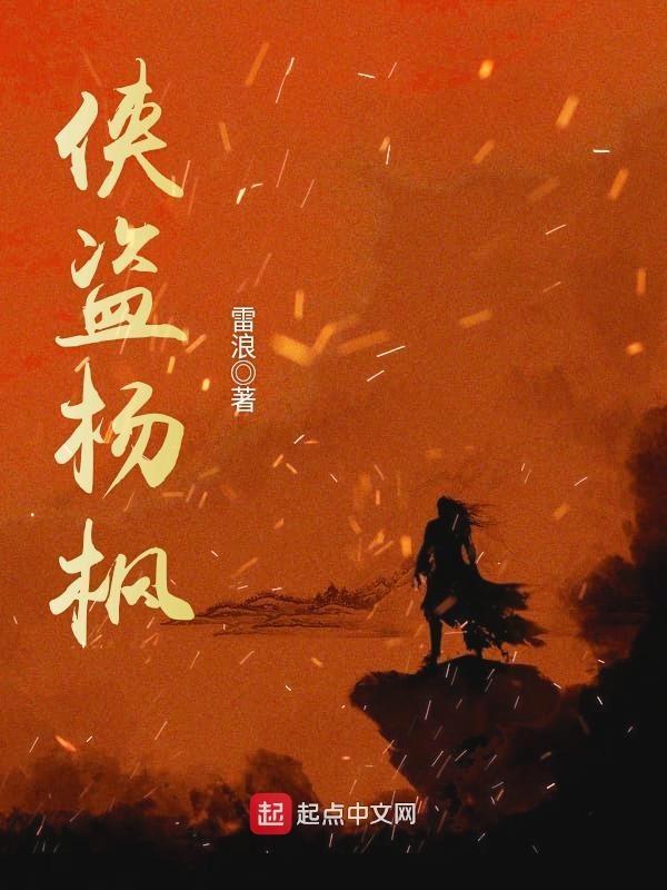 侠盗杨枫