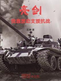亮剑：我靠援助支援抗战