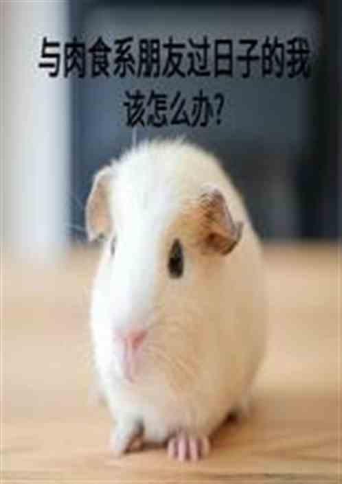 与肉食系朋友过日子的我该怎么办