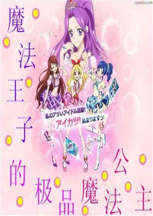 魔法王子的极品魔法公主