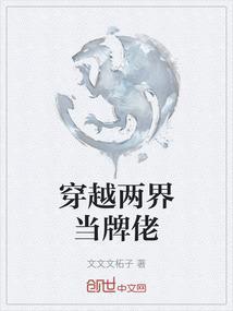 穿越两界当牌佬