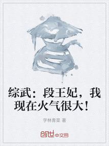 综武：段王妃，我现在火气很大！