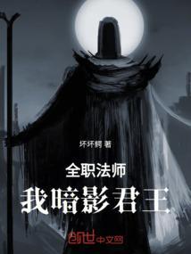 全职法师：我暗影君王