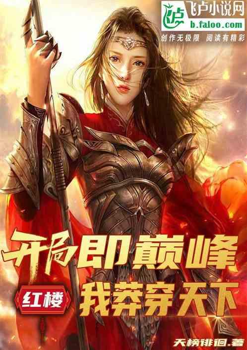 红楼：开局即巅峰，我莽穿天下！