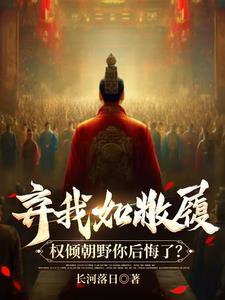 穿越弃子：凡日月所照皆为汉土！