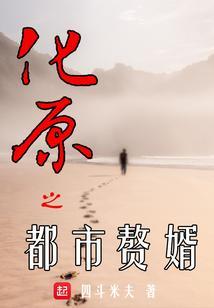 化原之都市赘婿