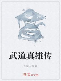 武道真雄传